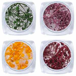 Сухоцветы в баночке