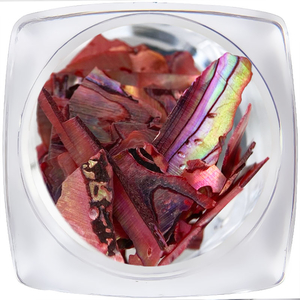 Декор для нігтів ART "Мушля" №002, Колір: 002