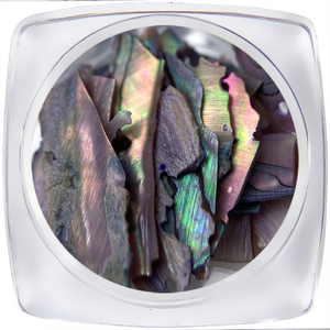 Декор для нігтів ART "Мушля" №006, Колір: 006