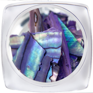 Декор для нігтів ART "Мушля" №007, Колір: 007