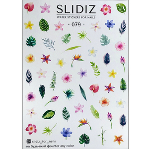 Слайдер-дизайн SLIDIZ 079