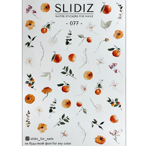 Слайдер-дизайн SLIDIZ 077