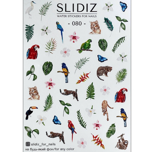Слайдер-дизайн SLIDIZ 080