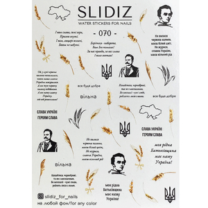 Слайдер-дизайн SLIDIZ 070