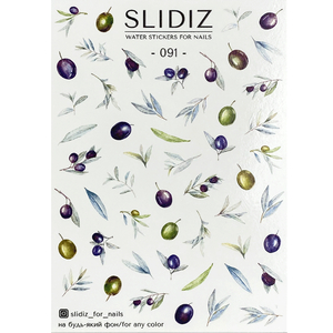 Слайдер-дизайн SLIDIZ 091