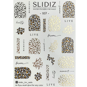 Слайдер-дизайн SLIDIZ 107