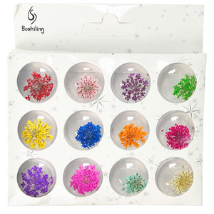 Набір сухоцвітів для дизайну в баночках