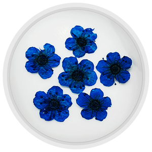 Сухоцветы для маникюра mART №07, Синий, Цвет: 07