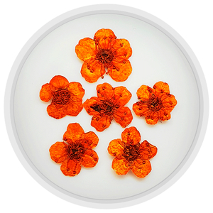 Сухоцветы для маникюра mART №05, Оранжевый, Цвет: 05
