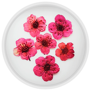 Сухоцветы для маникюра mART №06, Розовый, Цвет: 06
