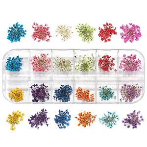 Набор разноцветных сухоцветов в контейнере
