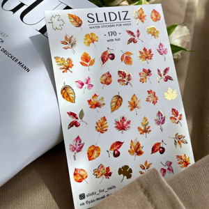 Слайдер-дизайн SLIDIZ 170