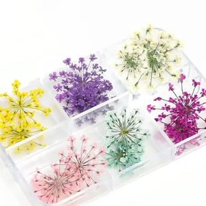 Сухоцветы для дизайна ногтей, в пластиковом контейнере 408 В, Цвет: 408В
