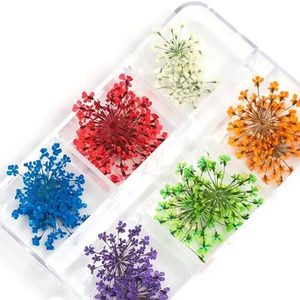 Сухоцветы для дизайна ногтей, в пластиковом контейнере 408 А, Цвет: 408А