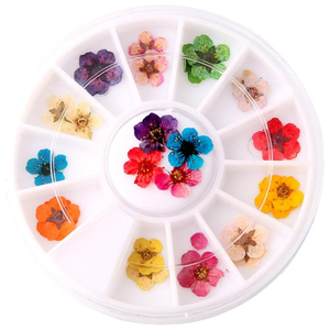 Набор сухоцветов для дизайна и декора ногтей в карусели 24 шт