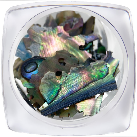 Декор для нігтів ART "Мушля" №003, Колір: 003