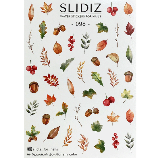 Слайдер-дизайн SLIDIZ 098