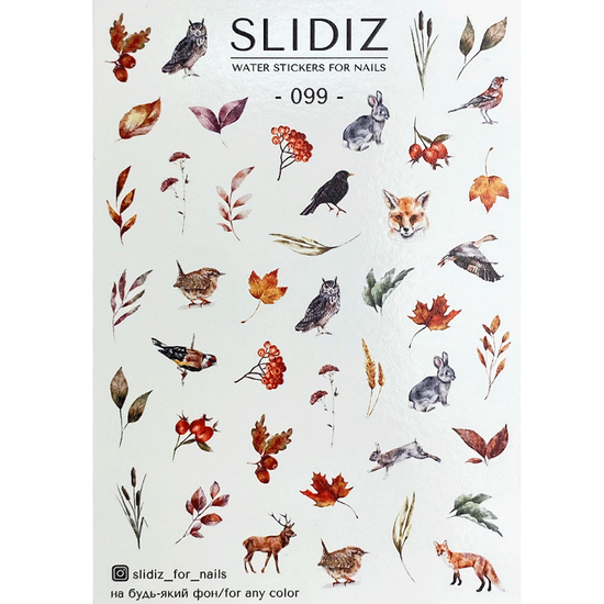 Слайдер-дизайн SLIDIZ 099