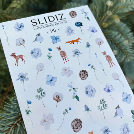 Слайдер-дизайн SLIDIZ 1162