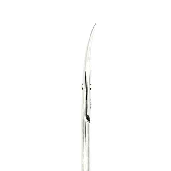 Ножиці професійні для шкіри STALEKS PRO EXCLUSIVE 22 TYPE 2 Magnolia SX-22/1m4