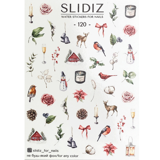 Слайдер-дизайн SLIDIZ 120