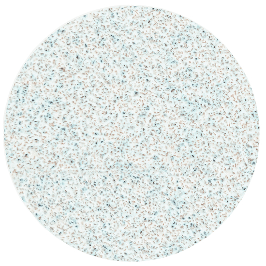 Сменные файлы белые для педикюрного диска 100 грит STALEKS PRO PODODISC L 50 шт PDF-25-100w, Вид: Сменные файлы, Диаметр: 25 мм, Абразивность: 1002