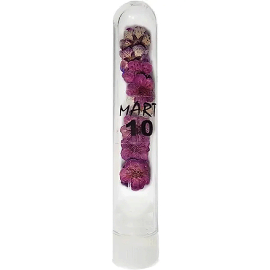 Сухоцветы для маникюра mART №10, Лиловый, Цвет: 10
2