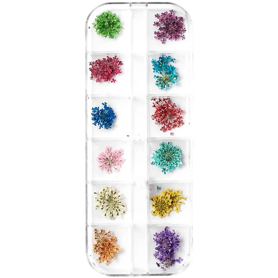 Набор разноцветных сухоцветов в контейнере2
