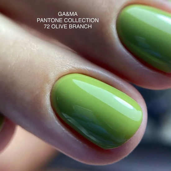 Гель-лак GaMa Gel Polish Pantone Сollection №072 Olive Branch 10 мл, Объем: 10 мл
, Цвет: 0724