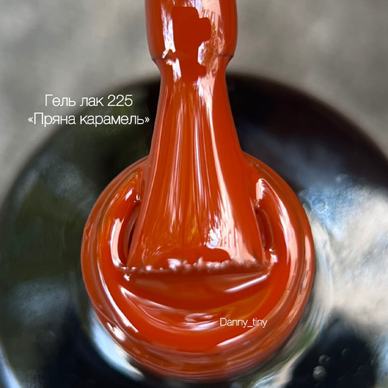 Гель-лак DANNY Gel Polish №225, 10 мл2