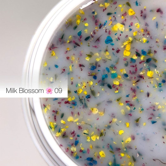 Гель із сухоцвітами DANNY Milk Blossom Gel №9 15 мл, Колір: 092