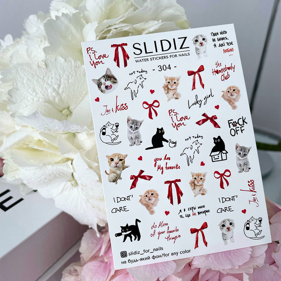 Слайдер-дизайн SLIDIZ 304