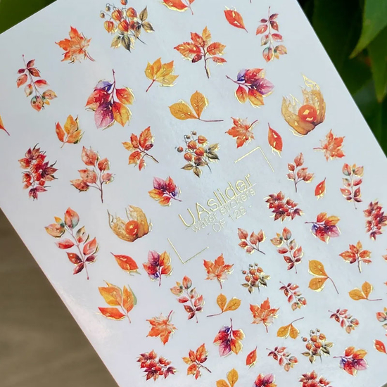 Слайдер-дизайн UA Slider CF 1282