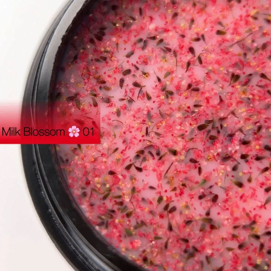 Гель із сухоцвітами DANNY Milk Blossom Gel №1 15 мл, Цвет: 012