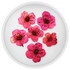 Сухоцветы для маникюра mART №06, Розовый, Цвет: 06
